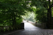 DSC02843